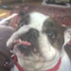 Meet your Posher, Winnie